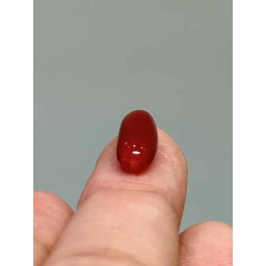 2.6ct Coral