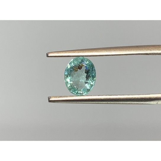 0.75ct Paraiba NGI Certified PRB4