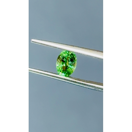 1.03ct Excellent Faceted Tsavorite