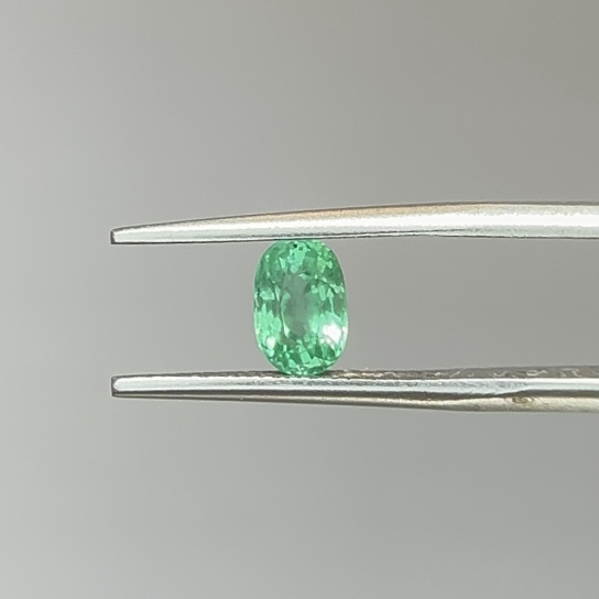 1.03ct Emerald No Oil