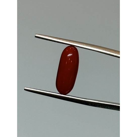 2.6ct Coral