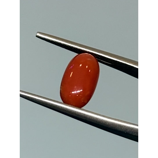 1.8ct Coral