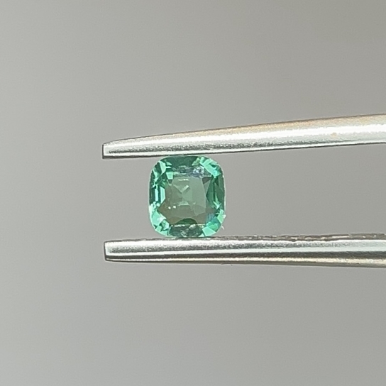 0.24ct Emerald No Oil