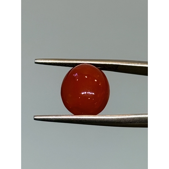3.7ct Rare Coral
