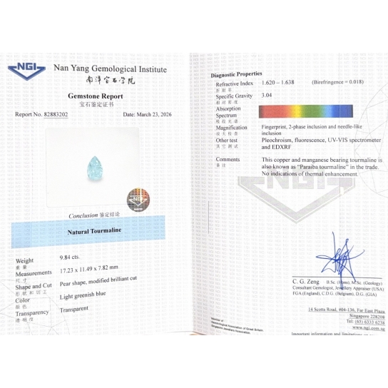 9.84ct Paraiba NGI Certified 