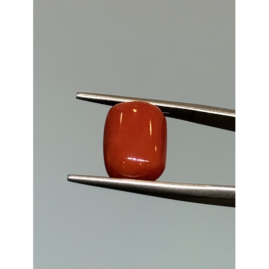 6.6ct Coral