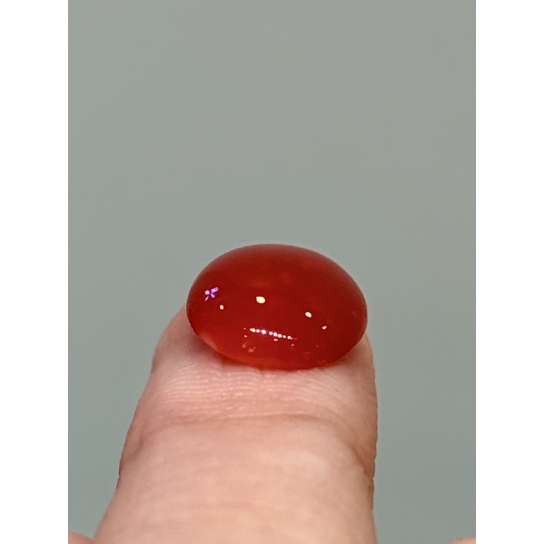 2.7ct Rare Coral
