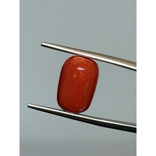 6.1ct Coral