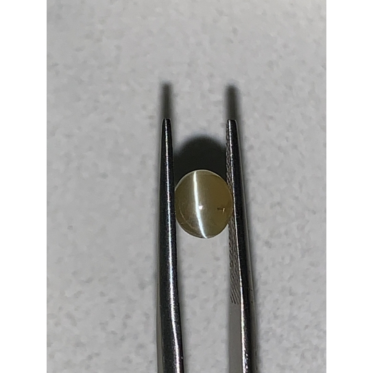 1.1ct Chrysoberyl Catseye