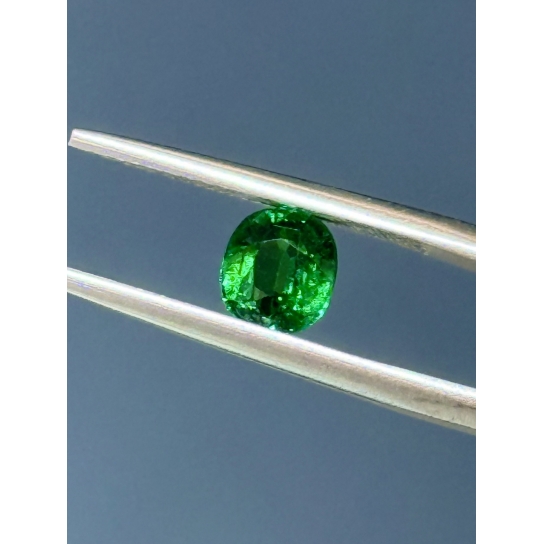 1.04ct Excellent Faceted Tsavorite