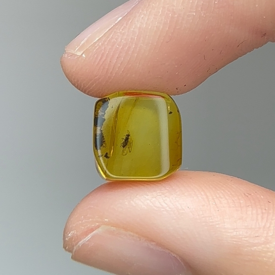 2.2ct Amber 
