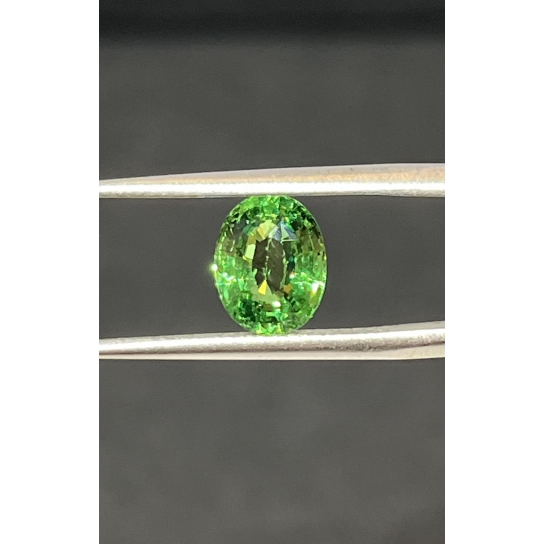 1.9ct Tsavorite TSVT8