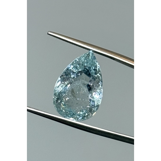 9.84ct Paraiba NGI Certified 