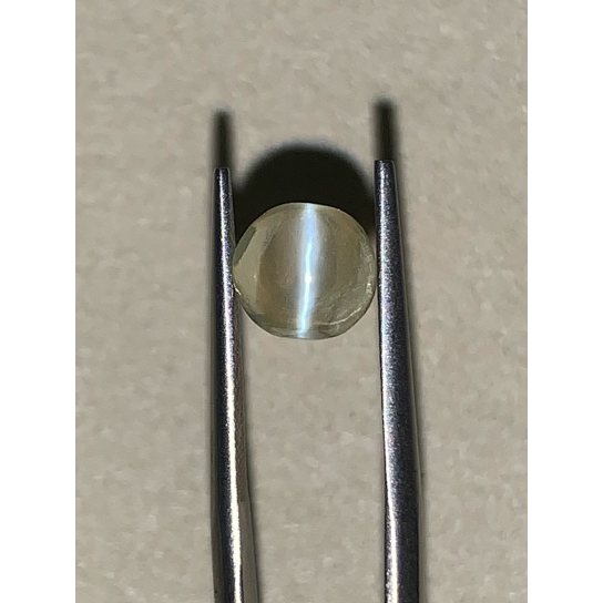 1.8ct Chrysoberyl Catseye 