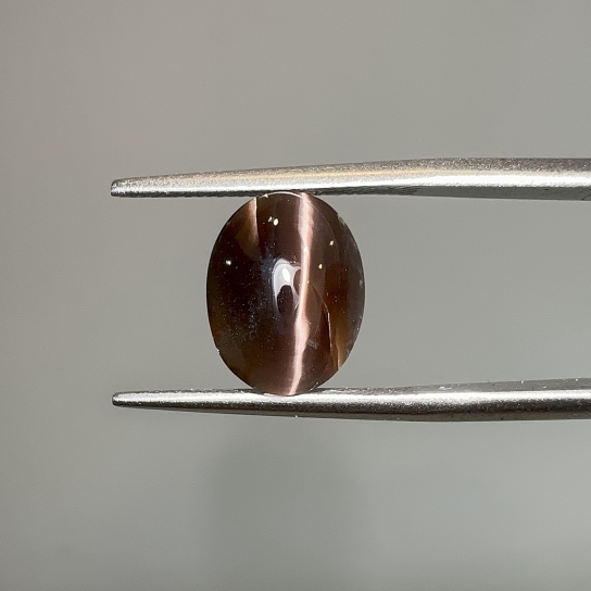 4.1ct Sillimanite Cat’s Eye