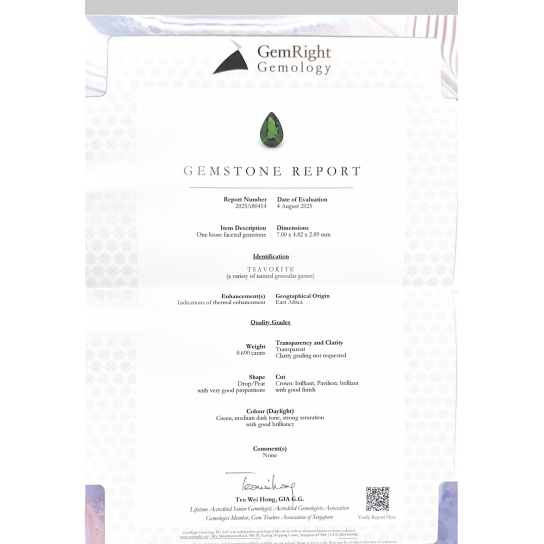1.26ct Tsavorite Pair 