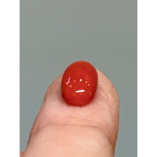 1.8ct Coral