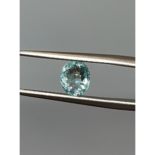 0.75ct Paraiba NGI Certified PRB4