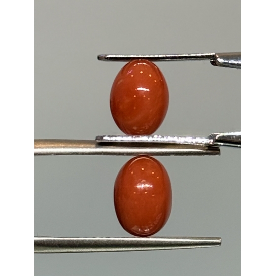 3.5ct Coral Pair