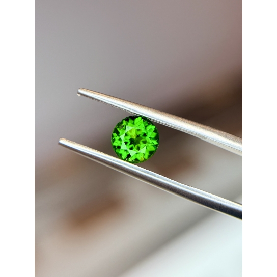 0.98ct Excellent Faceted Diopside