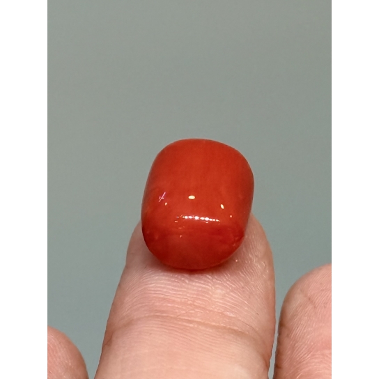 6.6ct Coral