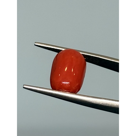 6.1ct Coral
