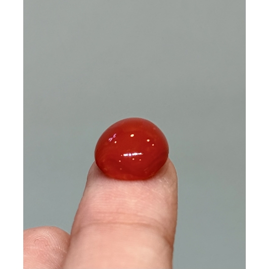 3.7ct Rare Coral